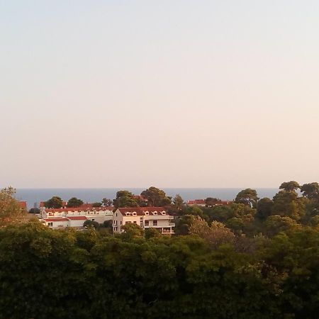 Apartmán Leut Dubrovník Exteriér fotografie