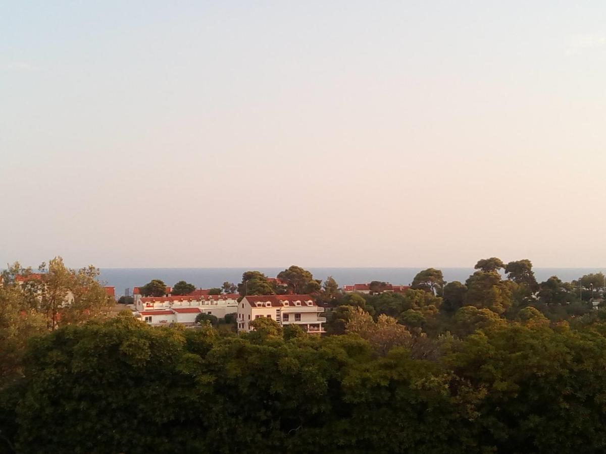 Apartmán Leut Dubrovník Exteriér fotografie