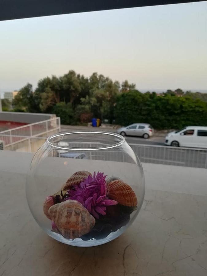 Apartmán Leut Dubrovník Exteriér fotografie